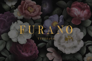 Furano Font Review: Bold Display Type for Makers