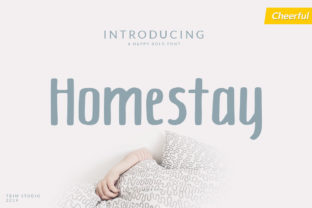 Homestay Font: Bold Typography for Campaigns
