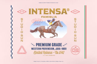 Intensa Family: The 60s Display Font for Retro Campaigns