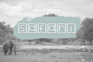 Safari Font: A Playful Display Typeface for Small Business Branding