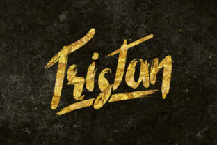 Tristan: The Bold Display Font for Modern Branding
